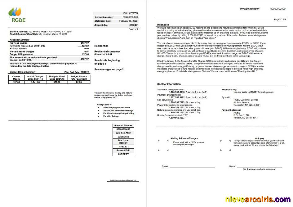 USA RG&E utility bill 2 pages 1 2